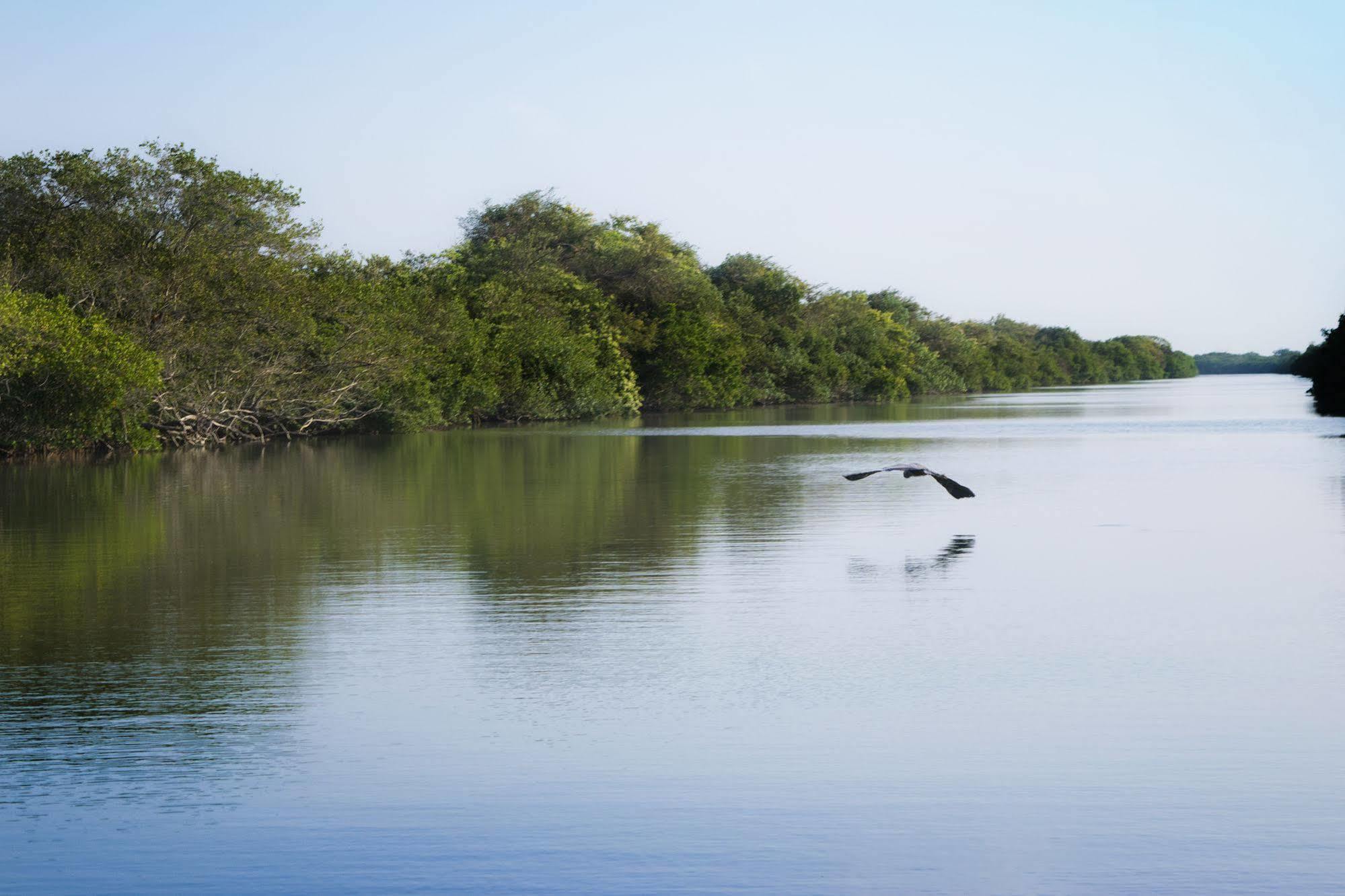 Isla Tajin Ξενοδοχείο Tuxpan  Εξωτερικό φωτογραφία